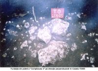 Cronica Cercetărilor Arheologice din România, Campania 2005. Raportul nr. 29
