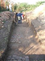 Cronica Cercetărilor Arheologice din România, Campania 2005. Raportul nr. 47
