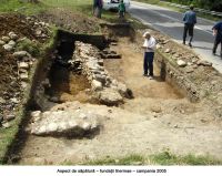 Cronica Cercetărilor Arheologice din România, Campania 2005. Raportul nr. 49