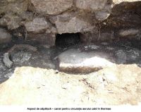 Cronica Cercetărilor Arheologice din România, Campania 2005. Raportul nr. 49
