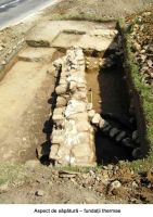 Cronica Cercetărilor Arheologice din România, Campania 2005. Raportul nr. 49