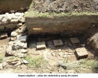 Cronica Cercetărilor Arheologice din România, Campania 2005. Raportul nr. 49