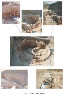 Cronica Cercetărilor Arheologice din România, Campania 2005. Raportul nr. 50