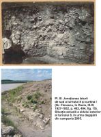 Cronica Cercetărilor Arheologice din România, Campania 2005. Raportul nr. 50