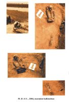 Cronica Cercetărilor Arheologice din România, Campania 2005. Raportul nr. 50