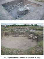 Cronica Cercetărilor Arheologice din România, Campania 2005. Raportul nr. 50
