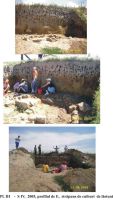 Cronica Cercetărilor Arheologice din România, Campania 2005. Raportul nr. 50