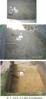 Cronica Cercetărilor Arheologice din România, Campania 2005. Raportul nr. 50