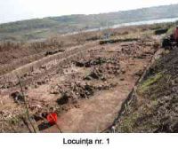 Cronica Cercetărilor Arheologice din România, Campania 2005. Raportul nr. 51