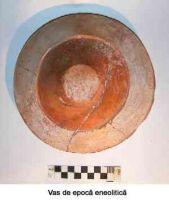 Cronica Cercetărilor Arheologice din România, Campania 2005. Raportul nr. 51