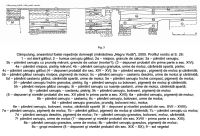 Cronica Cercetărilor Arheologice din România, Campania 2005. Raportul nr. 53