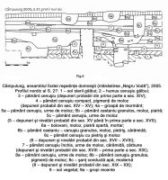 Cronica Cercetărilor Arheologice din România, Campania 2005. Raportul nr. 53
