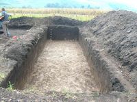 Cronica Cercetărilor Arheologice din România, Campania 2005. Raportul nr. 56