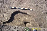 Cronica Cercetărilor Arheologice din România, Campania 2005. Raportul nr. 56