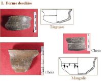 Cronica Cercetărilor Arheologice din România, Campania 2005. Raportul nr. 59