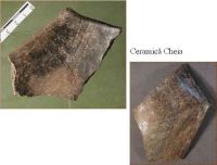 Cronica Cercetărilor Arheologice din România, Campania 2005. Raportul nr. 59