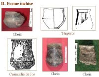 Cronica Cercetărilor Arheologice din România, Campania 2005. Raportul nr. 59