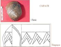 Cronica Cercetărilor Arheologice din România, Campania 2005. Raportul nr. 59