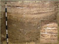Cronica Cercetărilor Arheologice din România, Campania 2005. Raportul nr. 59
