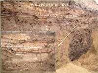 Cronica Cercetărilor Arheologice din România, Campania 2005. Raportul nr. 59