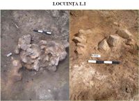 Cronica Cercetărilor Arheologice din România, Campania 2005. Raportul nr. 59