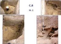 Cronica Cercetărilor Arheologice din România, Campania 2005. Raportul nr. 59