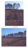 Cronica Cercetărilor Arheologice din România, Campania 2005. Raportul nr. 60