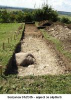 Cronica Cercetărilor Arheologice din România, Campania 2005. Raportul nr. 61