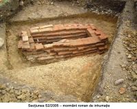 Cronica Cercetărilor Arheologice din România, Campania 2005. Raportul nr. 61