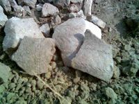 Cronica Cercetărilor Arheologice din România, Campania 2005. Raportul nr. 63
