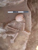 Cronica Cercetărilor Arheologice din România, Campania 2005. Raportul nr. 63