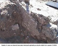 Cronica Cercetărilor Arheologice din România, Campania 2005. Raportul nr. 64