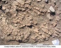 Cronica Cercetărilor Arheologice din România, Campania 2005. Raportul nr. 65
