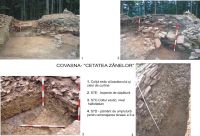 Cronica Cercetărilor Arheologice din România, Campania 2005. Raportul nr. 66