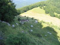 Cronica Cercetărilor Arheologice din România, Campania 2005. Raportul nr. 67