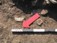 Cronica Cercetărilor Arheologice din România, Campania 2005. Raportul nr. 67
