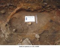Cronica Cercetărilor Arheologice din România, Campania 2005. Raportul nr. 76