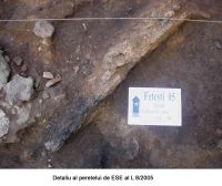 Cronica Cercetărilor Arheologice din România, Campania 2005. Raportul nr. 76