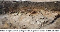 Cronica Cercetărilor Arheologice din România, Campania 2005. Raportul nr. 76