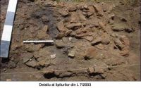 Cronica Cercetărilor Arheologice din România, Campania 2005. Raportul nr. 76