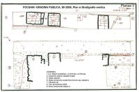 Cronica Cercetărilor Arheologice din România, Campania 2005. Raportul nr. 77