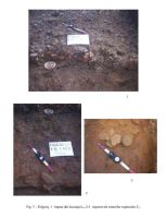 Cronica Cercetărilor Arheologice din România, Campania 2005. Raportul nr. 79