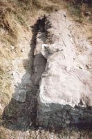 Cronica Cercetărilor Arheologice din România, Campania 2005. Raportul nr. 80