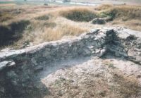 Cronica Cercetărilor Arheologice din România, Campania 2005. Raportul nr. 80