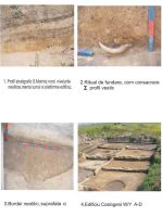 Cronica Cercetărilor Arheologice din România, Campania 2005. Raportul nr. 86