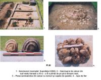 Cronica Cercetărilor Arheologice din România, Campania 2005. Raportul nr. 87