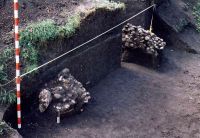 Cronica Cercetărilor Arheologice din România, Campania 2005. Raportul nr. 88