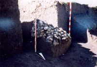 Cronica Cercetărilor Arheologice din România, Campania 2005. Raportul nr. 88