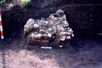 Cronica Cercetărilor Arheologice din România, Campania 2005. Raportul nr. 88