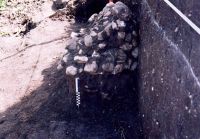 Cronica Cercetărilor Arheologice din România, Campania 2005. Raportul nr. 88